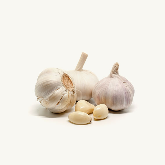 garlic